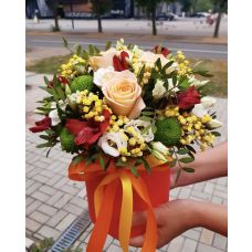 Композиция к009